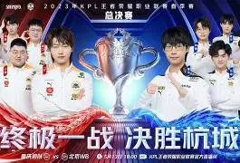  柔道龙虎榜在线观看完整版免费观看 